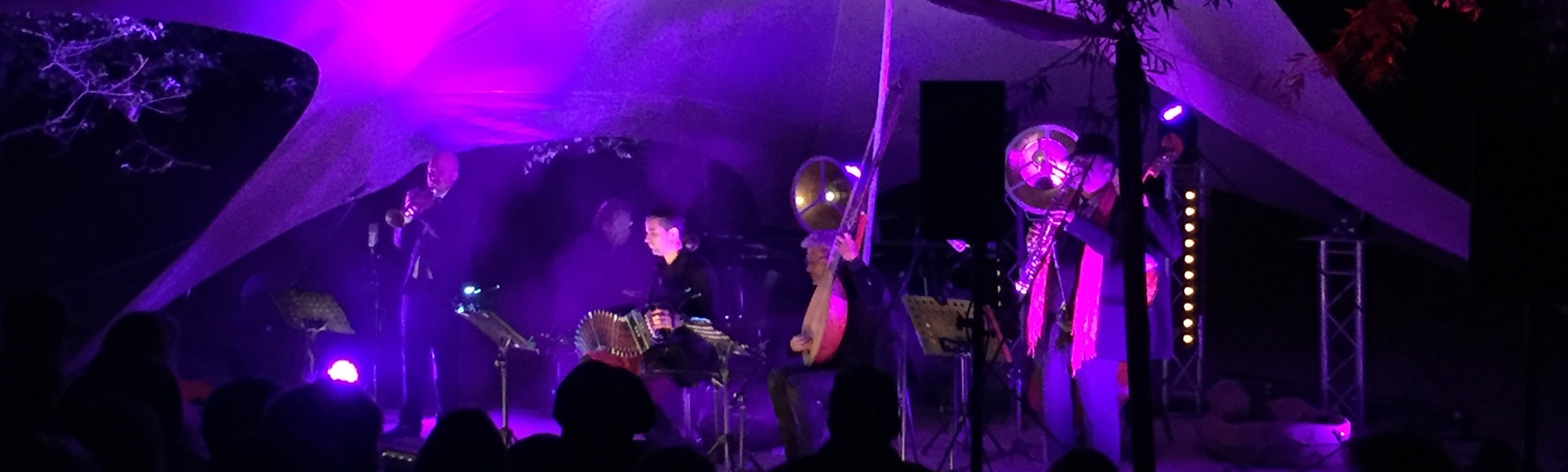 Concert 'Nachtgeluiden' van André Heuvelman & band in Kwintelooyen (Rhenen)