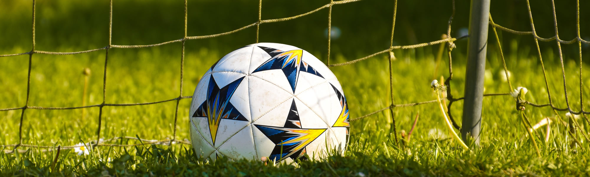 Een close-up van een voetbal in het gras voor het net van het doel