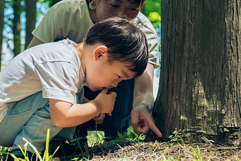 Een jongetje in het bos, zit op z'n hurken en kijkt wat er gebeurt iin de aarde bij de wortels van een boom